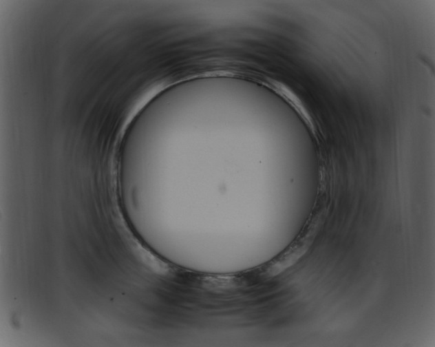 X0000096650859200802050932