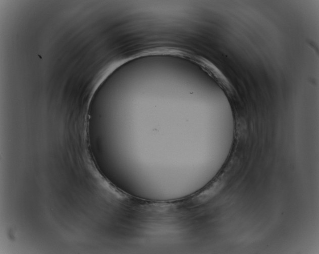 X0000096650860200802050932