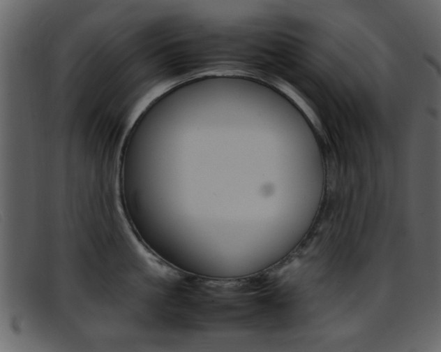 X0000096650861200802050932