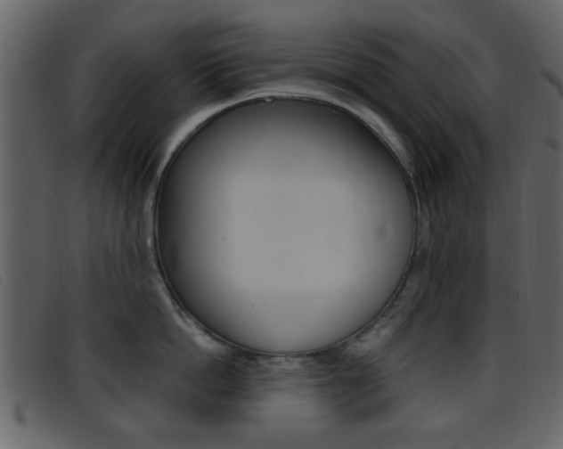 X0000096650862200802050932