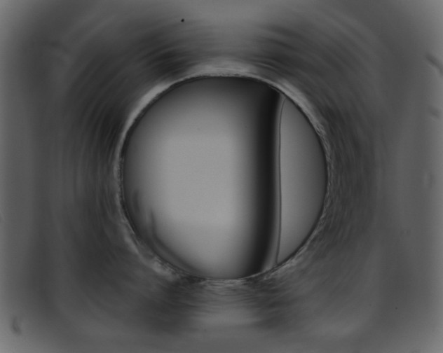 X0000096650864200802050932