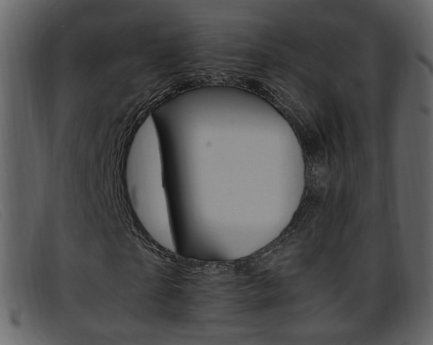 X0000096650865200802050932