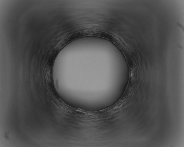 X0000096650867200802050932