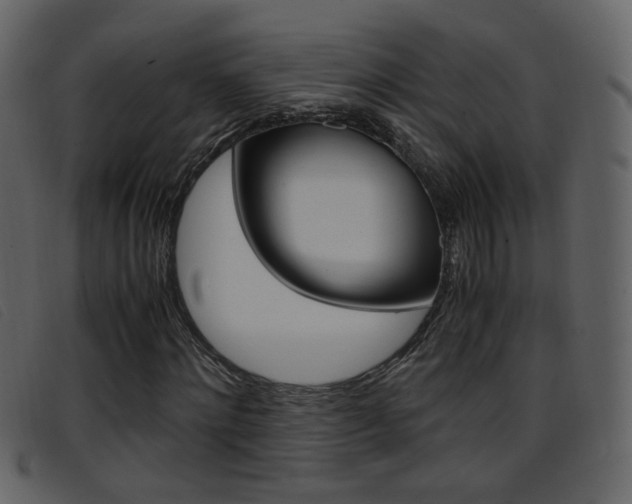 X0000096650868200802050932