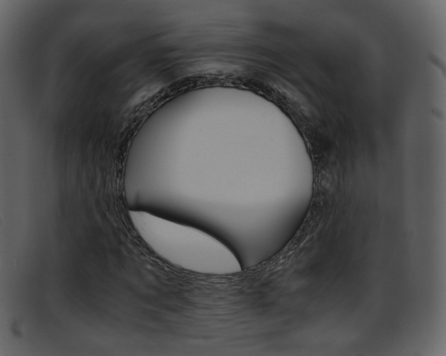 X0000096650869200802050932