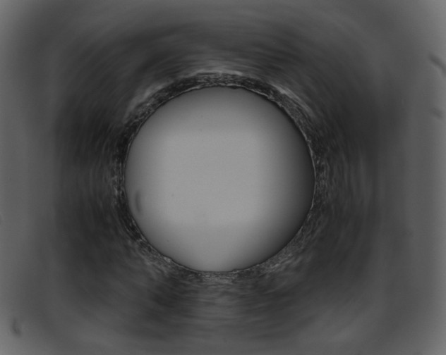 X0000096650870200802050932