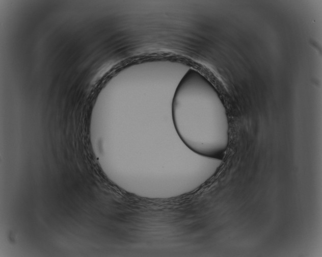 X0000096650871200802050932