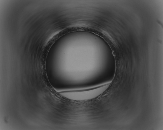 X0000096650872200802050932