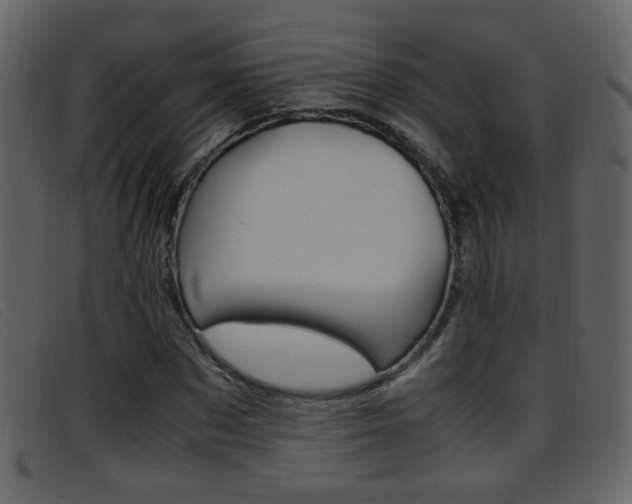 X0000096650873200802050932