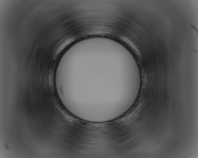 X0000096650874200802050931