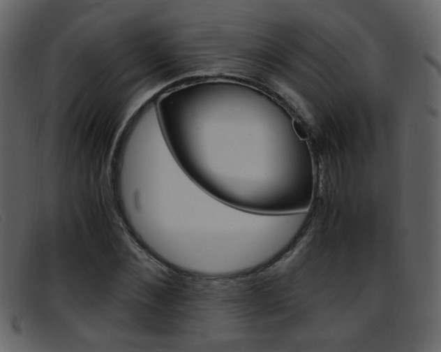 X0000096650876200802050931