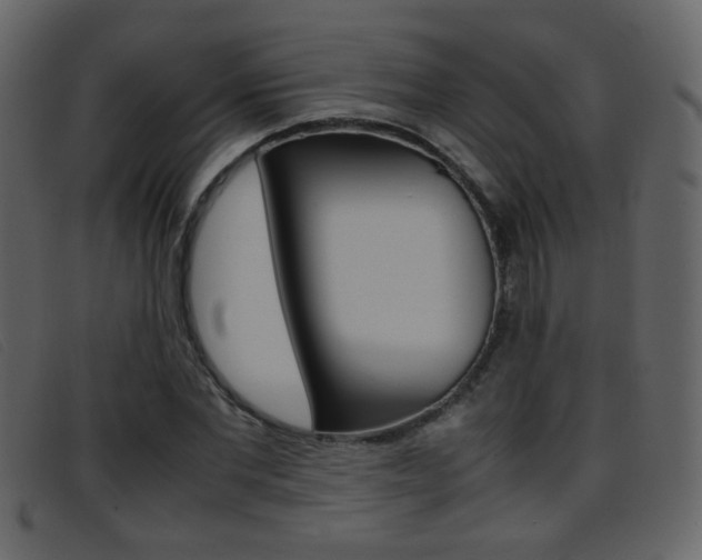 X0000096650877200802050931