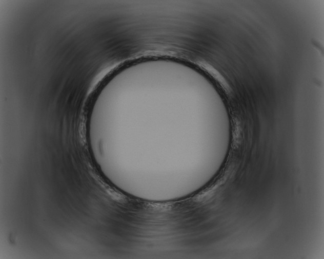 X0000096650878200802050931