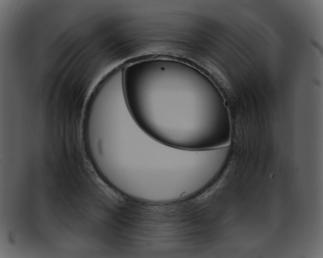 X0000096650880200802050931