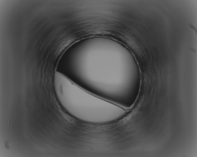 X0000096650881200802050931