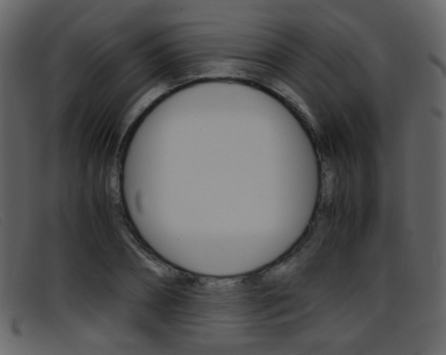 X0000096650882200802050931