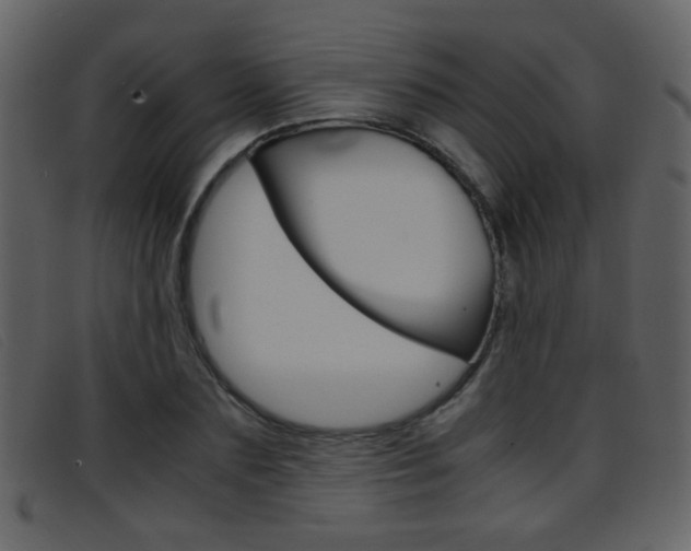 X0000096650883200802050931