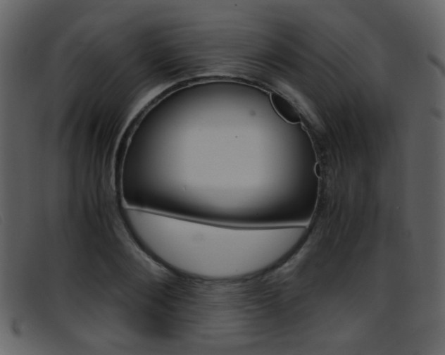 X0000096650884200802050931