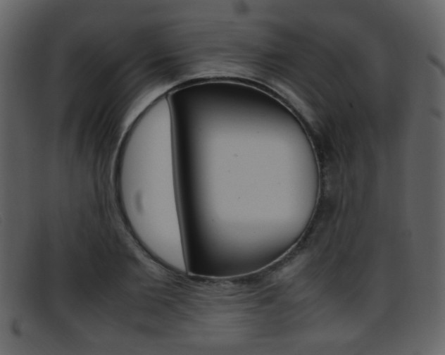 X0000096650885200802050931