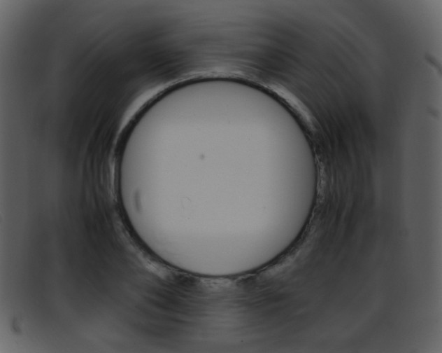 X0000096650886200802050931