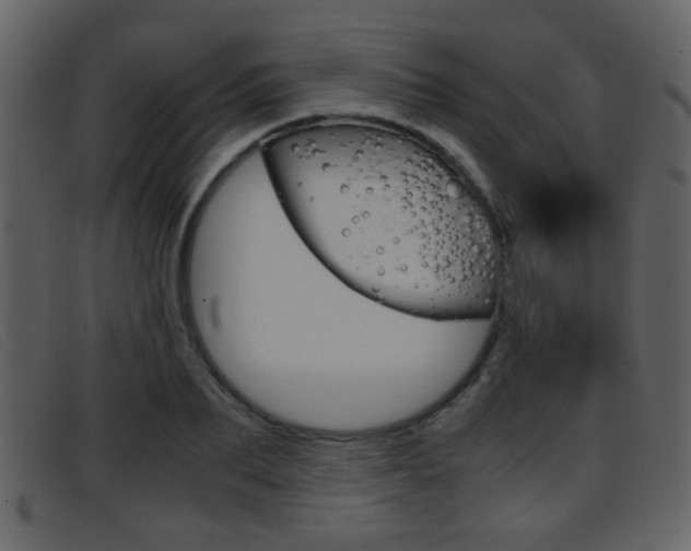 X0000096650887200802050931