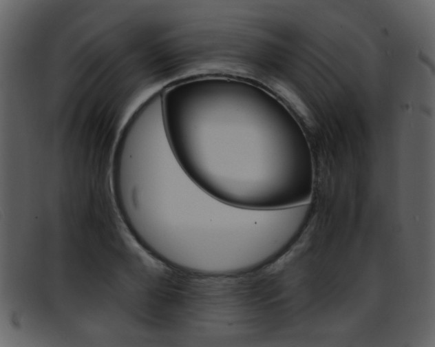 X0000096650888200802050931