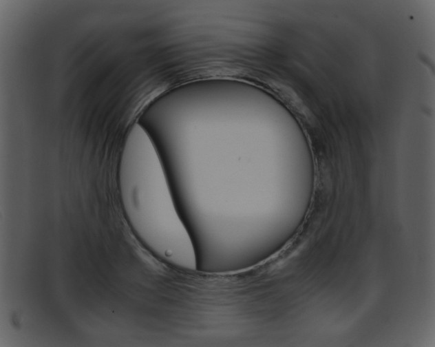 X0000096650889200802050931