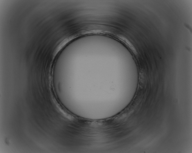 X0000096650890200802050931