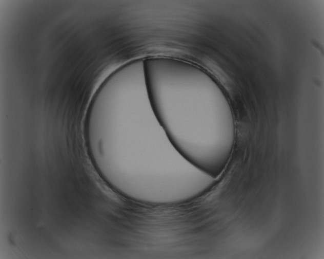 X0000096650891200802050931