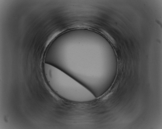 X0000096650893200802050931