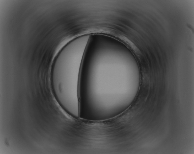 X0000096650894200802050931