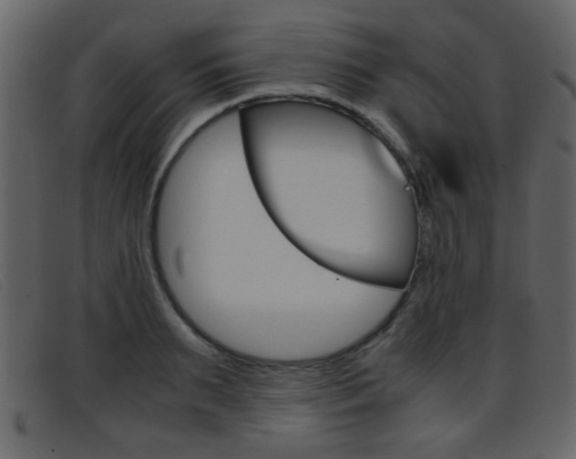X0000096650895200802050931