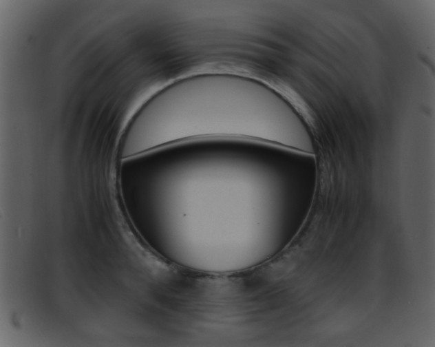 X0000096650896200802050931