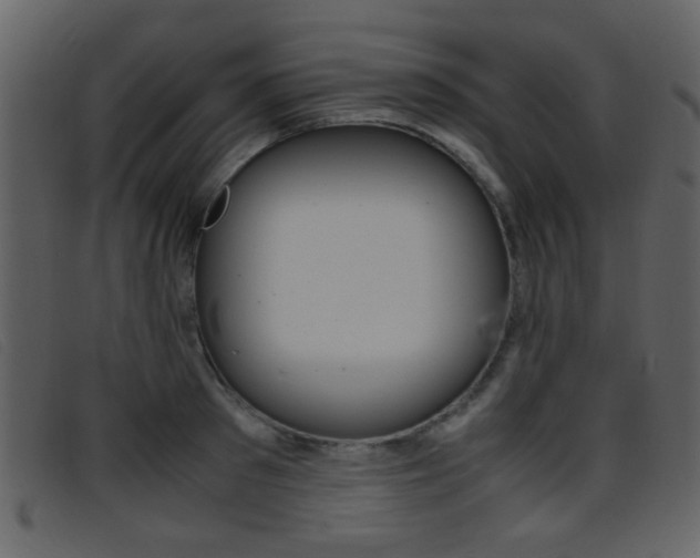 X0000096650897200802050931
