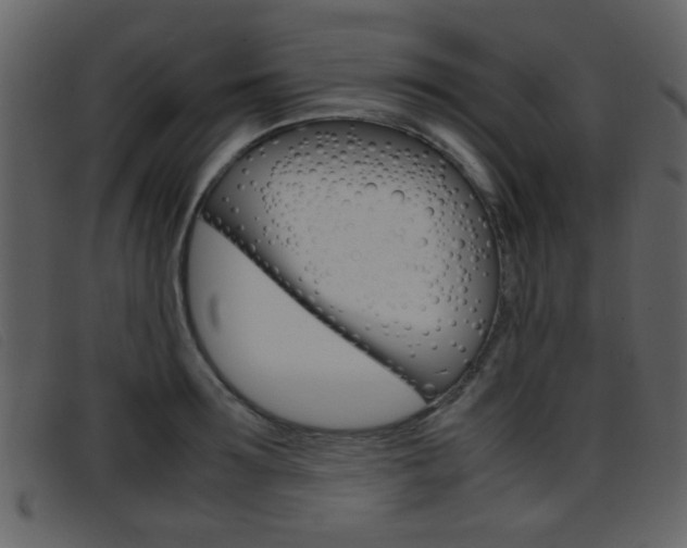 X0000096650899200802050931