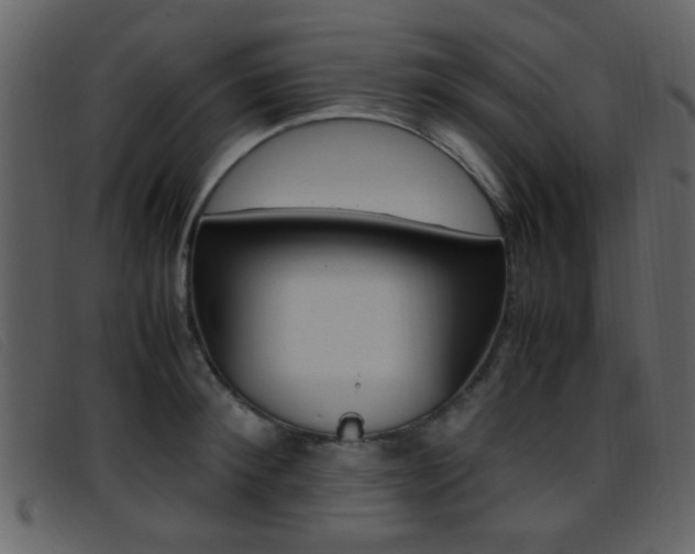 X0000096650900200802050931