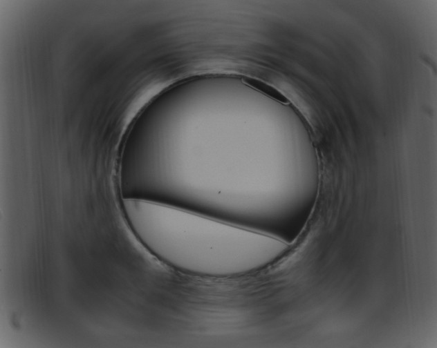 X0000096650901200802050931