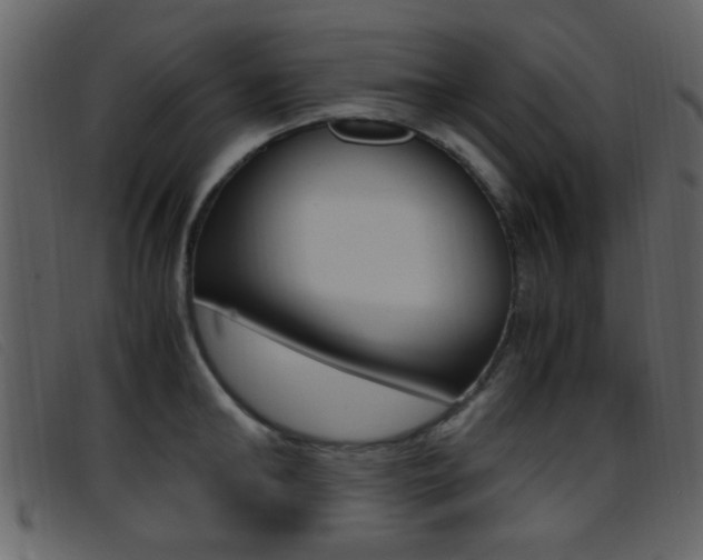 X0000096650902200802050931