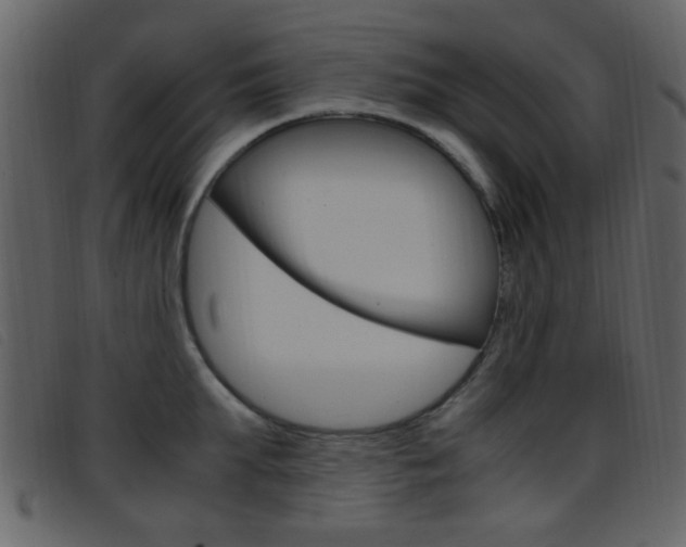 X0000096650903200802050931