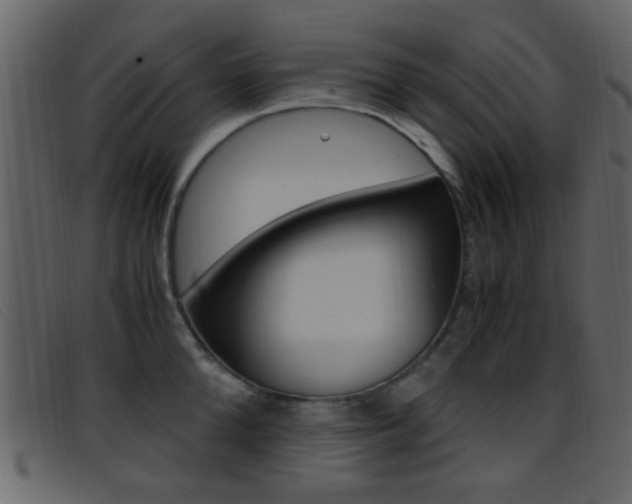 X0000096650904200802050931
