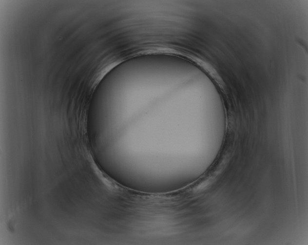X0000096650905200802050931