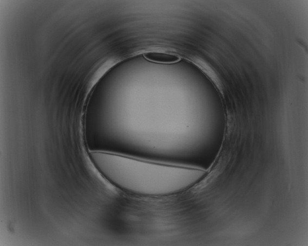 X0000096650906200802050931