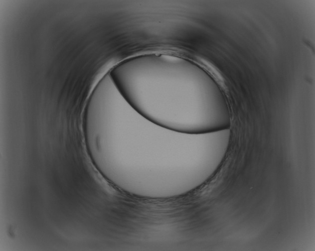 X0000096650907200802050931