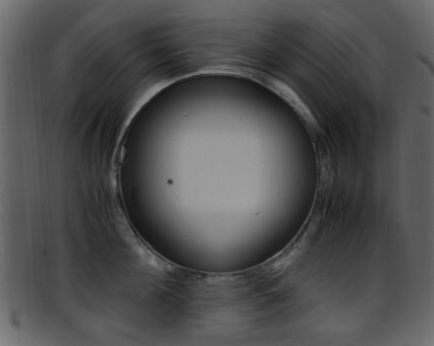X0000096650908200802050931