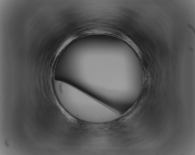 X0000096650909200802050931