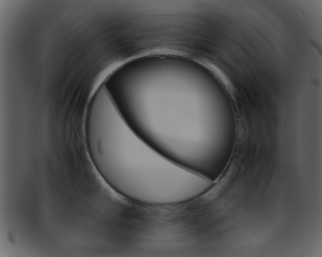 X0000096650910200802050931