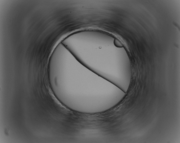 X0000096650911200802050931