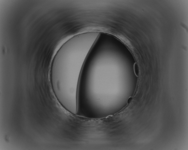 X0000096650912200802050931