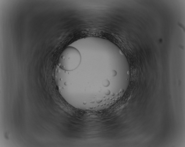 X0000096650913200802050930