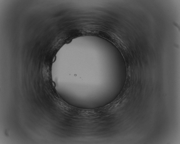 X0000096650915200802050930